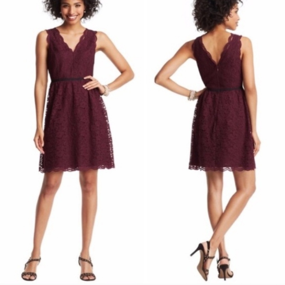 NWOT Ann Taylor Loft Scalloped lace v-neck dress